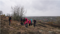 A început campania „Generația pădurilor”. Cu mic, cu mare, voluntarii au plantat arbori la Sireți, Ștrășeni