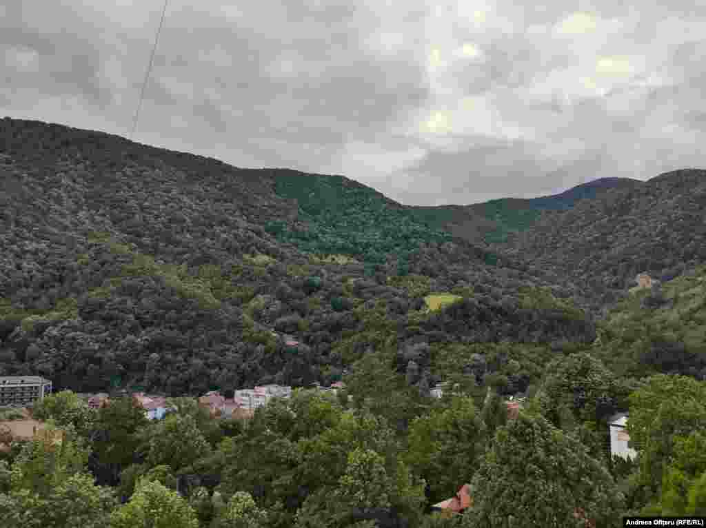 Băile Herculane sunt așezate în centrul Parcului Național Domogled, înconjurat de munți.&nbsp;