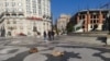 Бездомни кучиња во Скопје