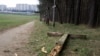 Image result for "Эрнэст Кайро"