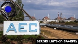Experts expressed concerns about the cooling systems for the plant's nuclear reactors after the facility was temporarily knocked offline on August 25.