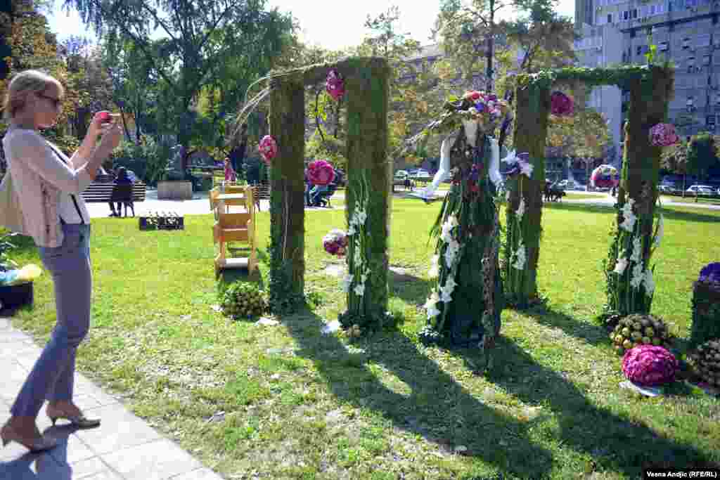Beograd, 20. septembar 2013.
