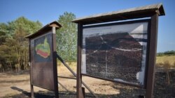 Таблите пред природниот резерват Езерани оштетни од пожарот кој пред неколку дена го зафати преспанското крајбрежје