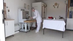 Pamet i pamćenje
