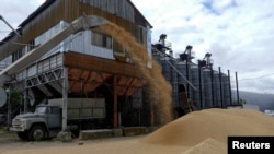 A grain terminal harvests barley in Ukraine's Odesa region. Officials in Kyiv have said they hope grain shipments can resume within the next few days.
