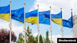 Варіант реагування містить три блоки