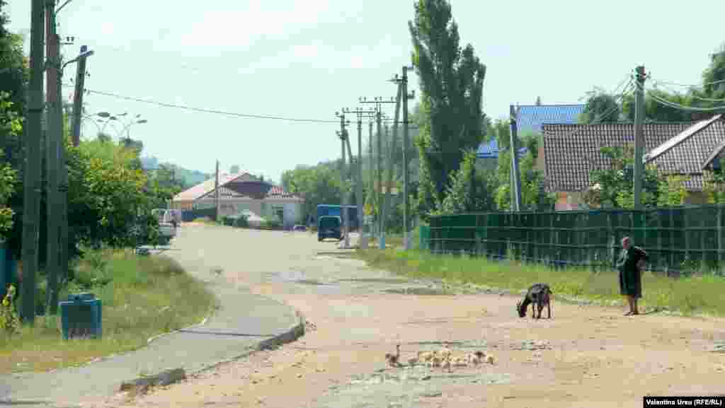 Moldova, Oameni și locuri din Ciuciuleni, raionul Hâncești, iulie 2020