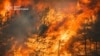 ДСНС: на Донеччині рятувальники ліквідували масштабну лісову пожежу, яка вирувала майже тиждень