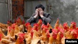 Илустрација