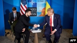 Владимир Зеленский и Дональд Трамп 