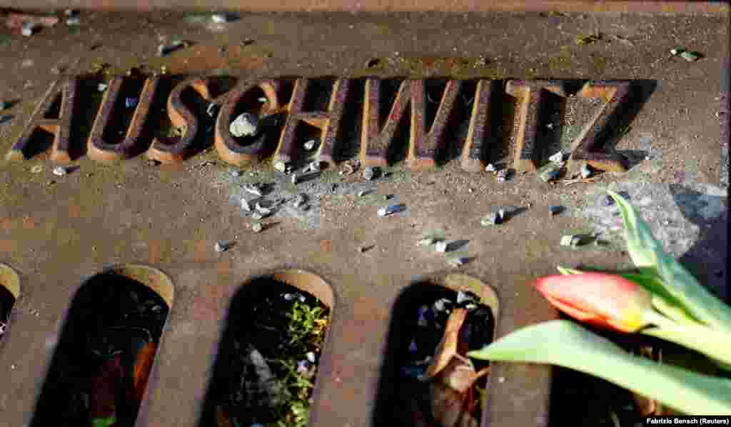 Një lule shihet pranë fjalës 'Auschwitz' në Mmorialin Gleis 17 (Platforma 17), një platformë në stacionin e trenit Berlin-Grunewald nga ku qytetarët hebrenj u dëbuan me tren për në kampet e përqendrimit nazist mes viteve 1941 dhe 1945, në Berlin, Gjermani, 27 janar 2021. 