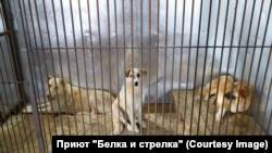 (illustrative photo)