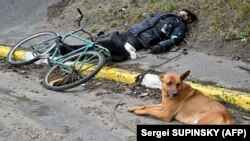 Буча, Украина