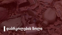 რისი თქმა სურდა თამარ ბერუჩაშვილს ნატოელი კოლეგებისთვის