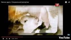 Скріншот зі «спеціального репортажу» на телеканалі «Білорусь-1»