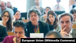 Tineke Strik, az Európai Parlament magyarországi jelentéstevője